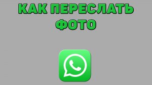 Как переслать фото в Ватсапе