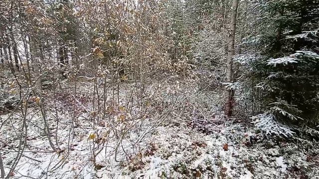 Земельные участки.mp4