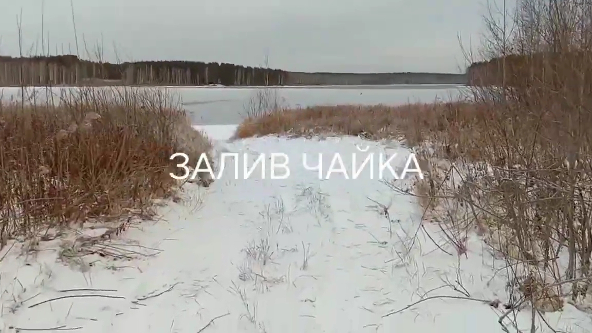 Рефтинское водохранилище. Залив Чайка . Первый лёд .