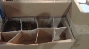 СВЕТОФОР🚦Делимся опытом покупок в магазине ✅Большой Обзор