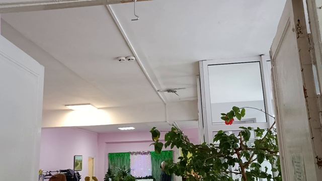 Ну вот вроде к новому году все готово