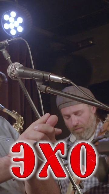 Sax Ehomusic #shorts #sax #ehomusic #livemusic #музыкальность