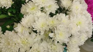 День рождения, главный день в жизни каждого человека. Счастье нельзя купить, но можно родить.