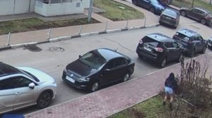 Подмосковье.«Коня на скаку остановит!..»😳