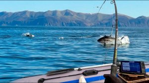 Самая крутая рыбалка на катере. Ловим с лодки. Лучшие моменты. Зимняя рыбалка. Рыбалка на ВДХ