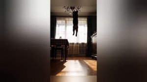 Улыбнёмся 😁 Подборка- крылатый будильник, котики