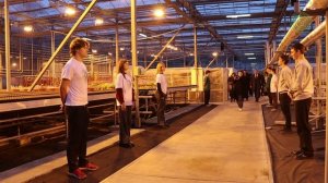 Визит сенатора Кареловой Галины Николаевна в ВГЛТУ им.Г.Ф. Морозова