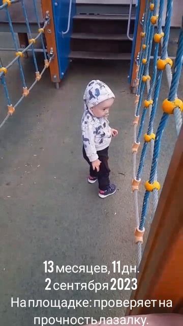 13 мес.,11 дн.Проверяет на прочность лазалку.(2 сен.2023).mp4