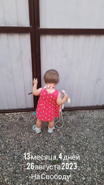 13 мес.,4 дн.На Свободу!(26авг.2023).mp4
