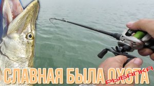 Весёловское водохранилище. в погоне за крупной щукой или рыбалка по последнему слову техники