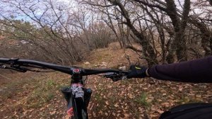 трейл Дохлая Лиса (Алушта) / 29.11.25