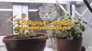 8. Котосериал Барсяткин. 3 сезон. ЛЕТО - ОСЕНЬ. 3 серия. "Страшные" игрушки от ноябрьской скуки