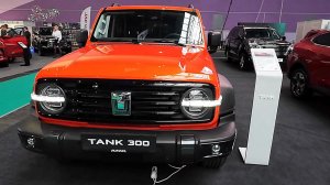 Tank 300 - Какой он есть в наших глазах