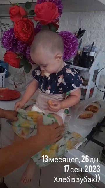 13 мес.,26 дн.Хлеб в зубах (17 сен.2023).mp4