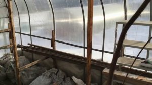 Придомовая теплица помогает мне вырастить здоровую рассаду. 2022 год.