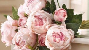 Самые красивые и трогательные поздравления с днем рождения - своими словами для женщины