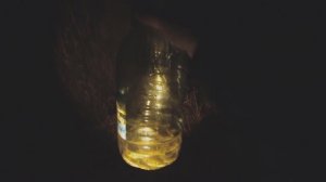 Как наловить живца ночью? Самый простой способ ловли живца.