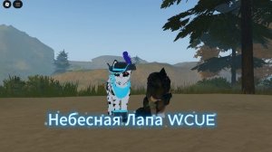 УРА Я КУПИЛА ПИРАТКУ! ПРОСТИТЕ ЧТО НЕ БЫЛО ТАК ДОЛГО! ВИДЕО С ПОДРУГОЙ! НОВЫЙ АКК!