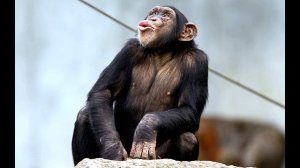 Чемпионат России Дискус 2026 на финишной прямой.