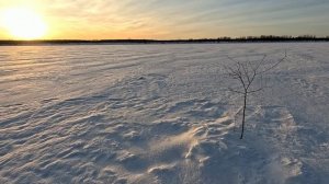 Проверка удочек. 6 день.