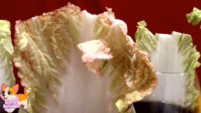 ставим опыты над капустой