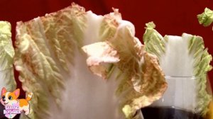 ставим опыты над капустой