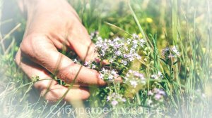 МЕТОД ЛЕЧЕНИЯ, КОТОРЫЙ Я ОТКРЫЛ СЛУЧАЙНО САМ