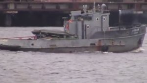 Приборный Поиск Минелабом-705.по островам.Ищем ярмарку и золото на Якострове Белого моря.