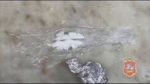 В Подмосковье задержана закладчица, прятавшая в нижнем белье и брюках 312 свёртков с метадоном