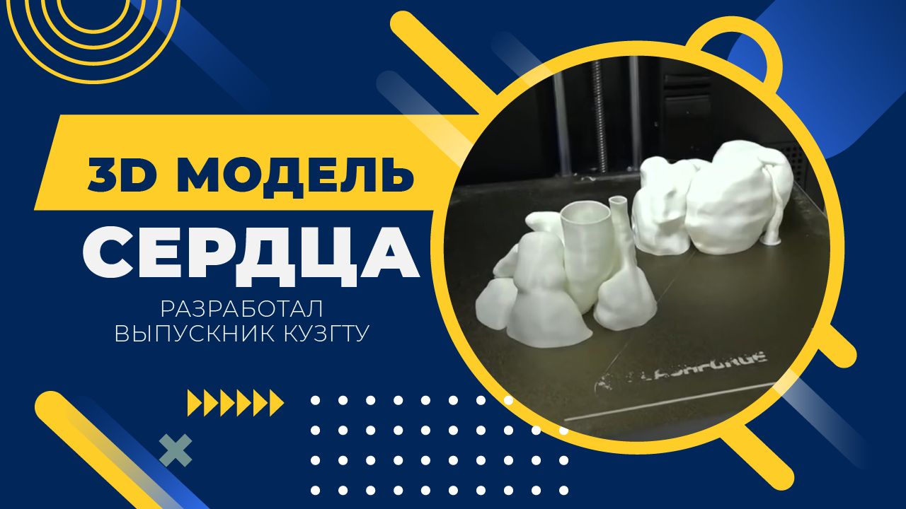 3D модель сердца разработал выпускник КузГТУ смотреть онлайн