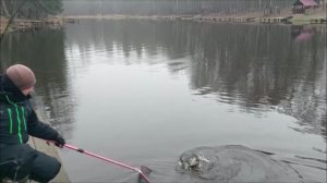 Пасмурно. Безветренно. Ловим форель. Клёвое место, Лосиный остров, верхний водоём.