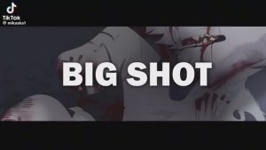 Коты воители / meme /  BIG SHOT /