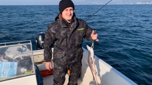 Акулы Чёрного моря, трофейная рыбалка 29.11.2025 г.