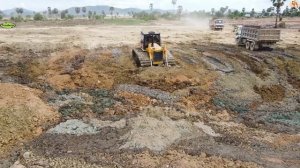 Строительство, очередная территория для засыпки