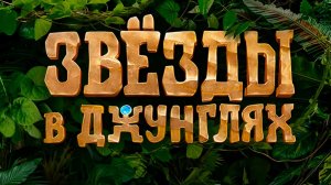 Звезды в джунглях. Сезон 2 Серия 25-я. Обзор