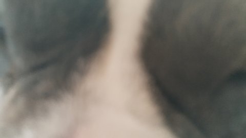 разговариваем