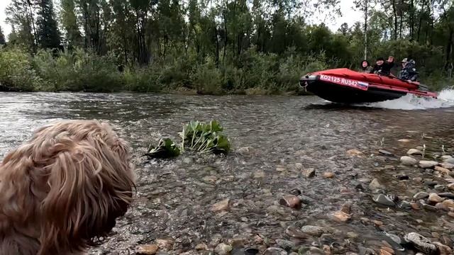 Высокий уровень