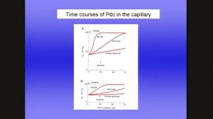 West 5 диффузия