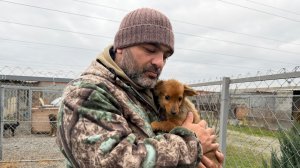 Первые сутки щенка у нас дома после спасения