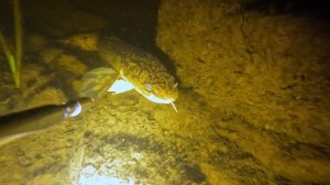 Ноябрь на Канале