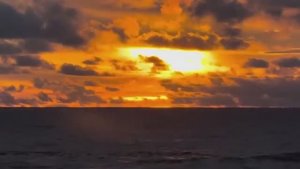 Беженец🇮🇩Бали. ГРЫЗУН ПЕРЕМЕЩАЕТ МЫЛО. СКОЛЬКО СТОИТ НОВЫЙ СКУТЕР НА БАЛИ. ОСЬМИНОГ ЗА 5 ЕВРО