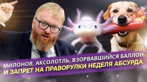 Милонов против ЧЁРНОЙ ПЯТНИЦЫ, АКСОЛОТЛЬ против ЕВРОПЫ, А СОБАКА — против квартиры!
