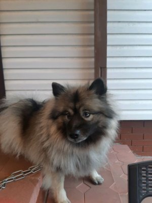 я и вы добеваю 200 подписчиков