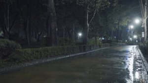 Звук дождя для глубокого сна и расслабления 🌧️ белый шум для отдыха и концентрации