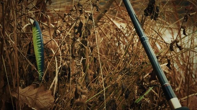 Осенний вайб со спиннингом. Топ воблеров на щуку