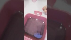 VID_20251203_212946.mp4