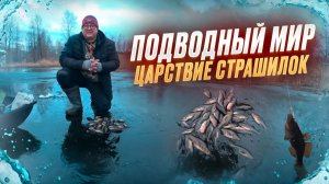 ЗИМНЯЯ ЛОВЛЯ СТРАШНЫХ РЫБ. ВСЕ ТАЙНЫ ЗАГАДОЧНОГО ПОДВОДНОГО МИРА. Рыбалка 2025