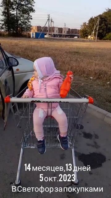 14 мес.,13 дн. В Светофор за покупками (5 окт.2023).mp4