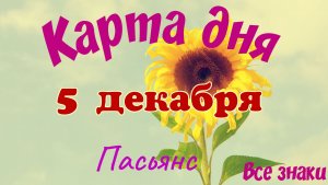 Карта дня❄5 декабря🎄☃️Пасьянс. Тайм-код в описании🦢
