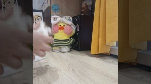 Амелии пришёл подарок на день рождения!Как же это здорово) Уточка лалафанфан.